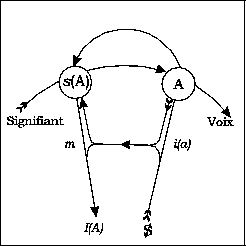 L'identification première