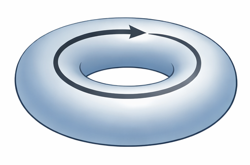 File:Lacan - The Torus.png